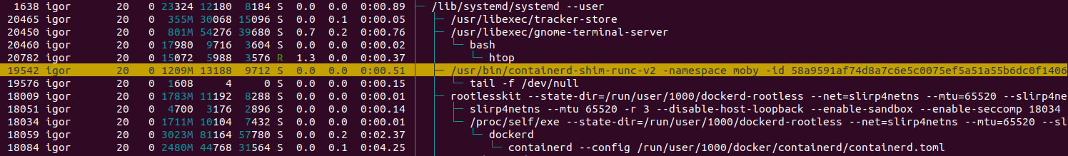 Rootless Docker htop