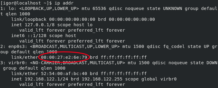 ip addr